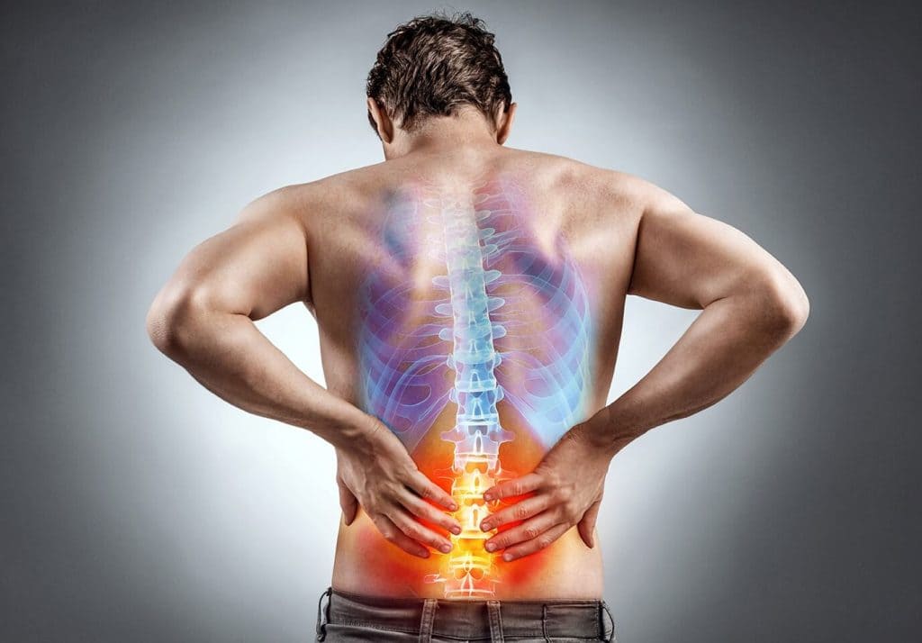 نقش و عملکرد دیسک