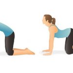 حرکت گربه شتر چیست و چه فوایدی دارد؟